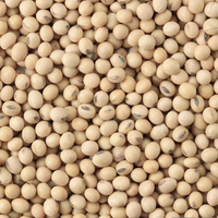 Hydrolyzed Soy Protein